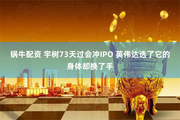 锅牛配资 宇树73天过会冲IPO 英伟达选了它的身体却换了手