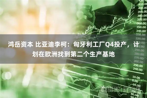 鸿岳资本 比亚迪李柯：匈牙利工厂Q4投产，计划在欧洲找到第二个生产基地