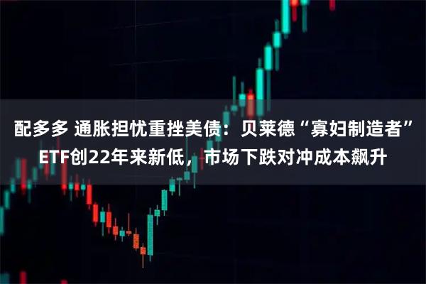 配多多 通胀担忧重挫美债：贝莱德“寡妇制造者”ETF创22年来新低，市场下跌对冲成本飙升